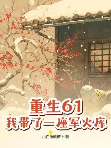 重生61我带了一座军火库简介 重生61我带了一座军火库简介