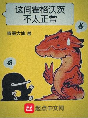霍格沃茨的那些年 霍格沃茨的那些年