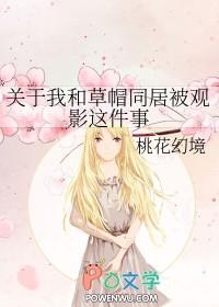 海贼王之草帽团的小海贼 海贼王之草帽团的小海贼