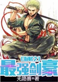 海贼之最强剑神系统 海贼之最强剑神系统