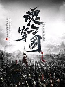 魂穿三国演义 魂穿三国演义
