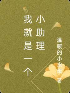 我就是一个小助理英文 我就是一个小助理英文
