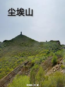 尘埃山色壮 尘埃山色壮
