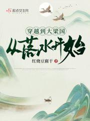 穿越到大梁国从落水开始免费 穿越到大梁国从落水开始免费