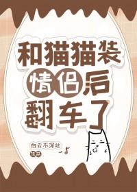 和猫猫装情侣后翻车了免费阅读 和猫猫装情侣后翻车了免费阅读