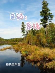 有系统的日常