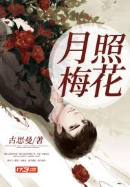 月照梅花正得意什么意思 月照梅花正得意什么意思