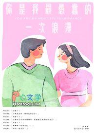 你是我最愚蠢的一次浪漫意思 你是我最愚蠢的一次浪漫意思