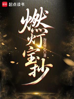 燃灯宝典 燃灯宝典