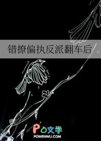 @yy.书名错撩偏执男主后我甩不掉了 @yy.书名错撩偏执男主后我甩不掉了