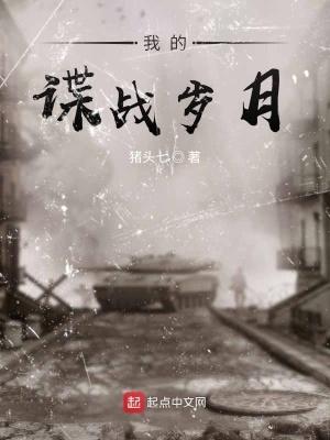 我的谍战岁月精校版TXT 我的谍战岁月精校版TXT