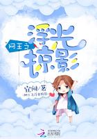 网王浮光掠影月霖