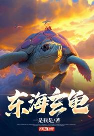 东海玄龟 东海玄龟